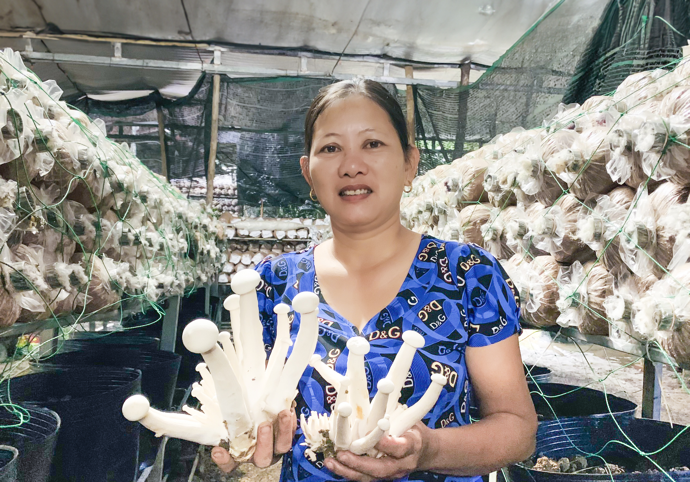 Nông dân Nha Trang: Tập trung nâng cao giá trị nông sản