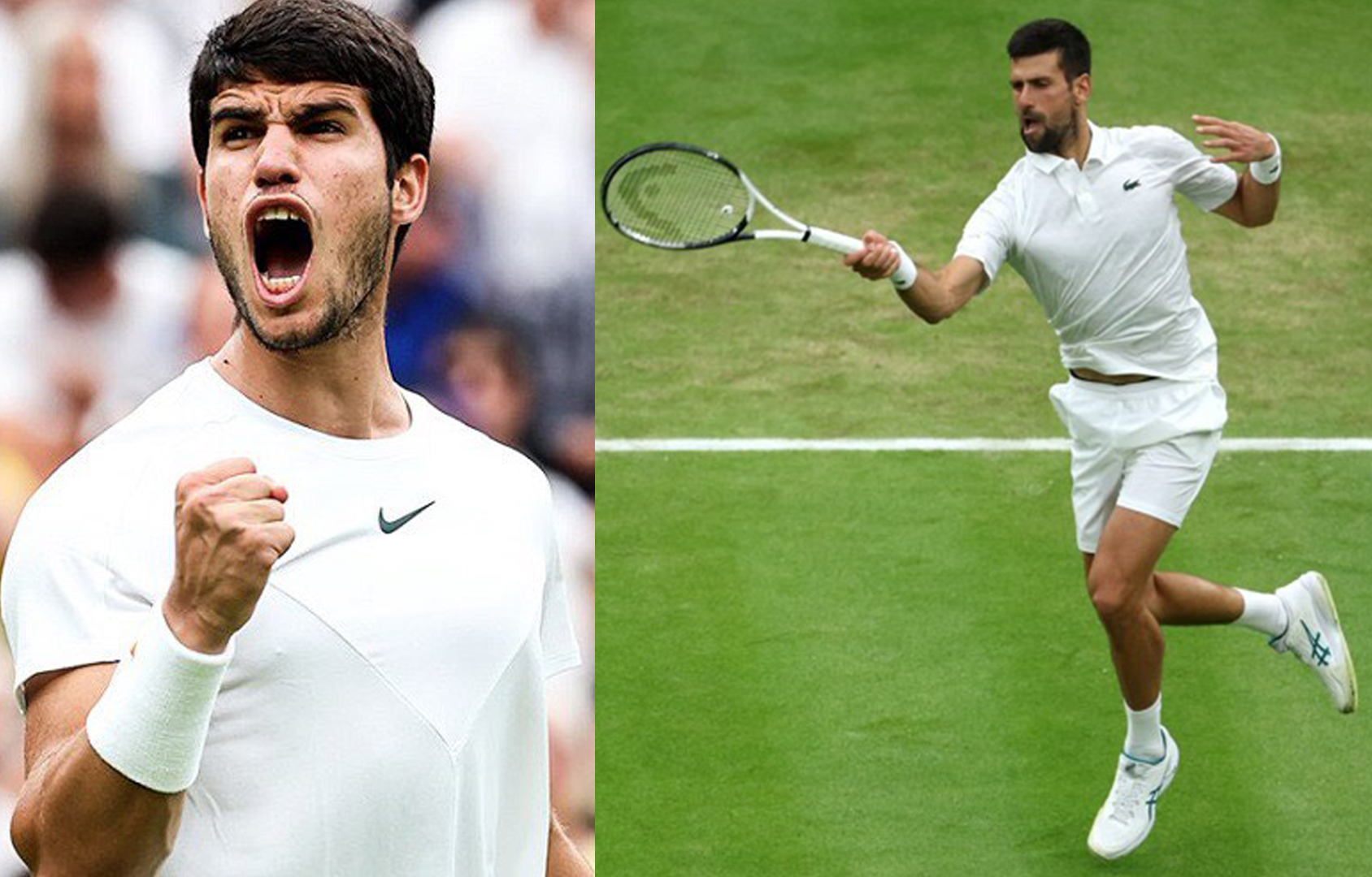 Alcaraz - Djokovic: Trận chung kết trong mơ