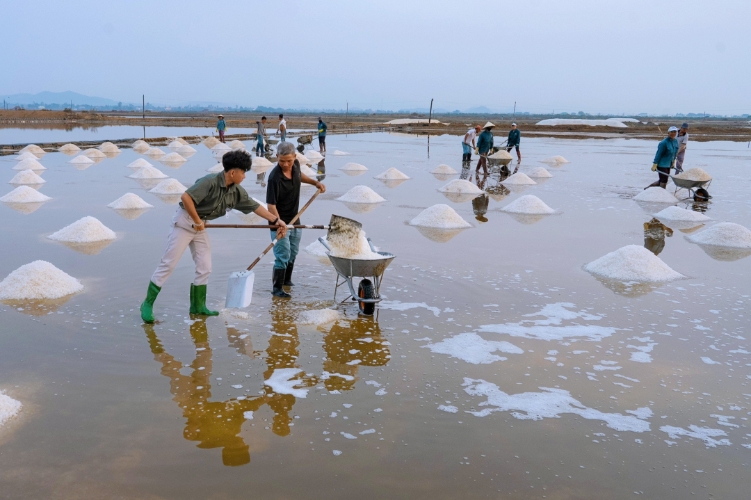 
A young person shoveling salt in Hon Khoi salt field with local people