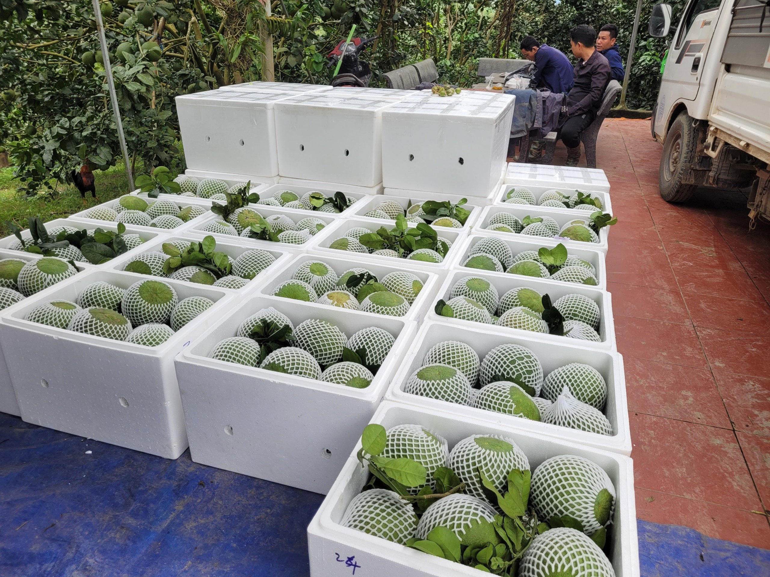 Khánh Vĩnh: Phát huy vai trò của doanh nghiệp ở vùng đồng bào dân tộc thiểu số