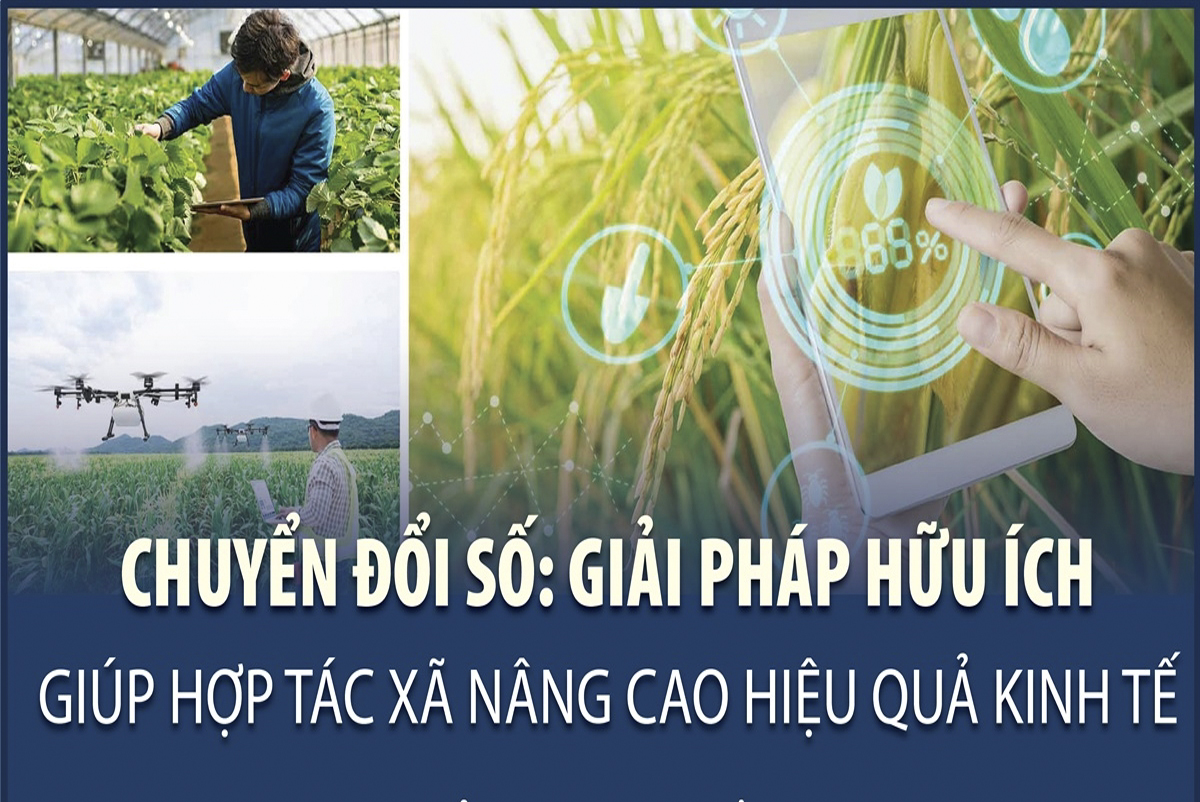 Chuyển đổi số: Giải pháp hữu ích giúp hợp tác xã nâng cao hiệu quả kinh tế