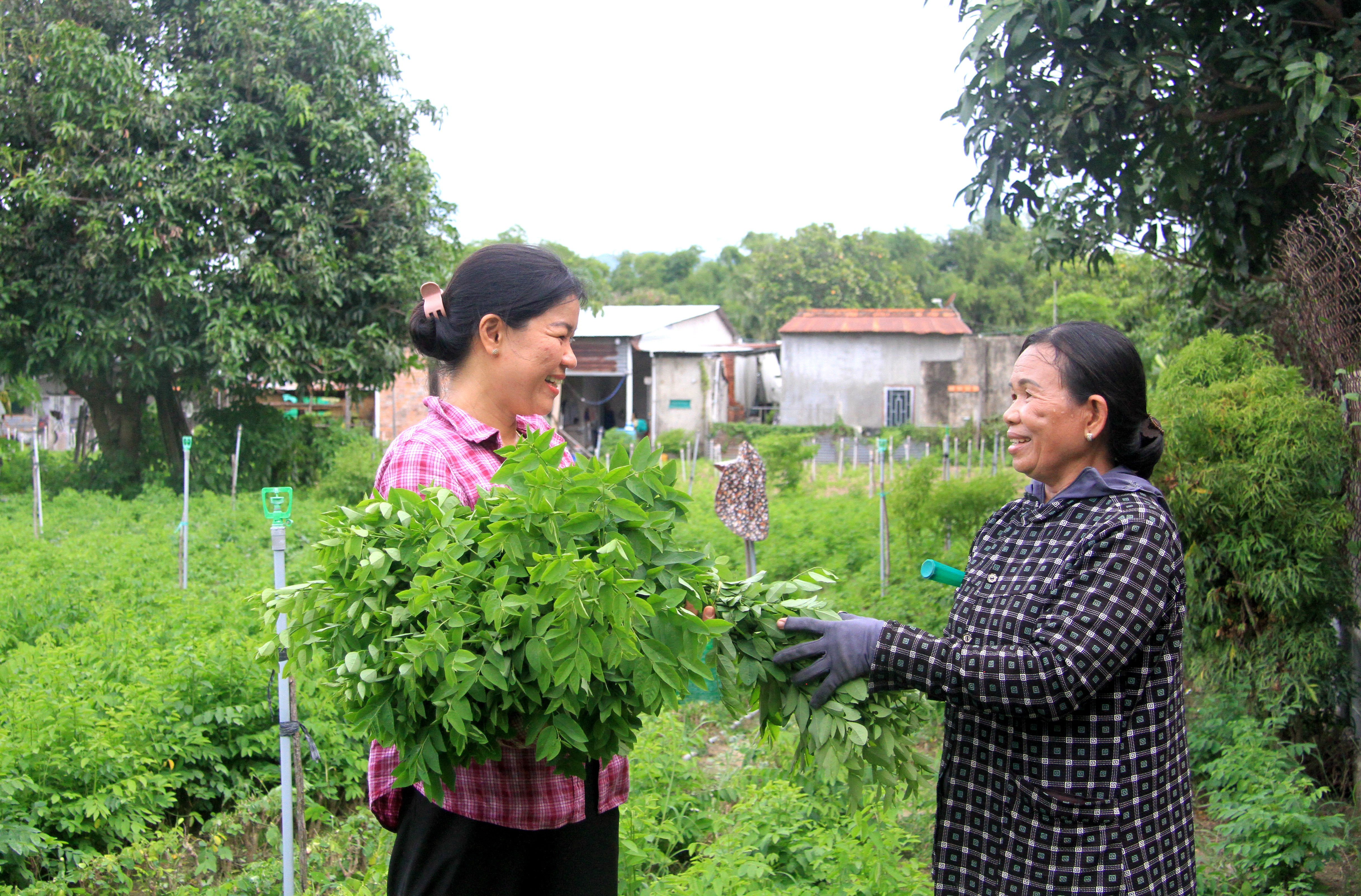 Cam Lâm: Trao phương tiện sinh kế giúp phụ nữ nghèo