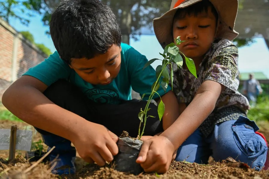 Lợi ích kỳ diệu khi trẻ được gần gũi thiên nhiên