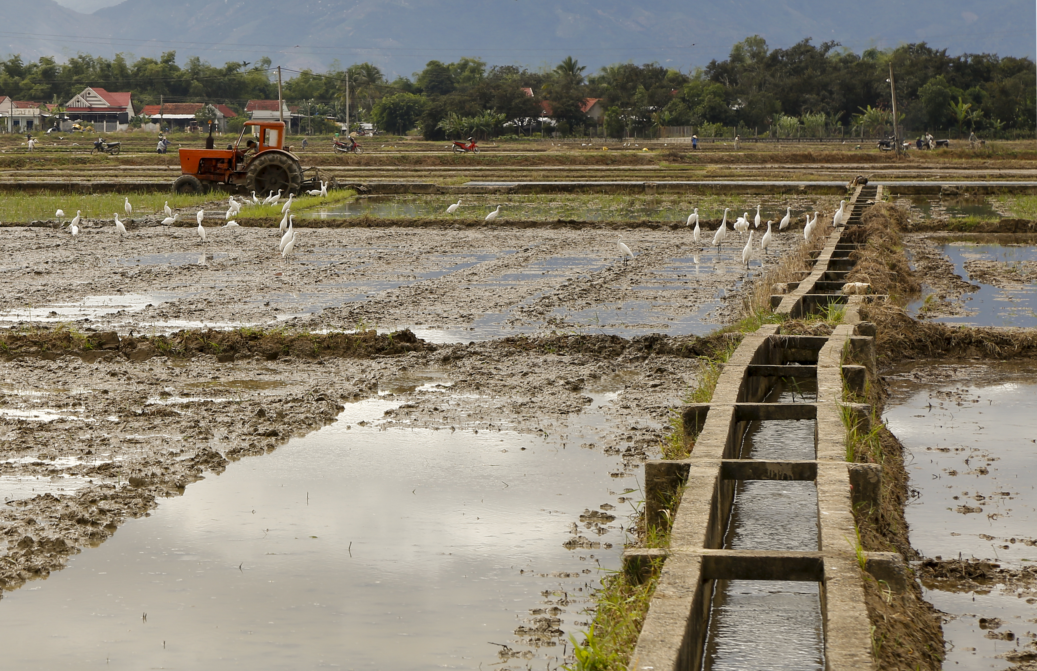 Xây dựng mẫu công trình thủy lợi nhỏ