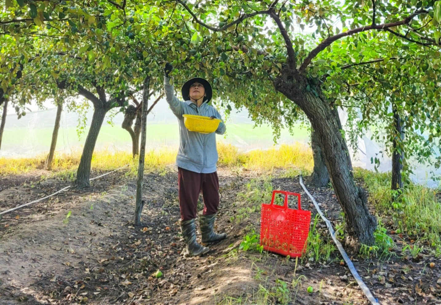 Trưởng ban công tác mặt trận giỏi việc nước, đảm việc nhà