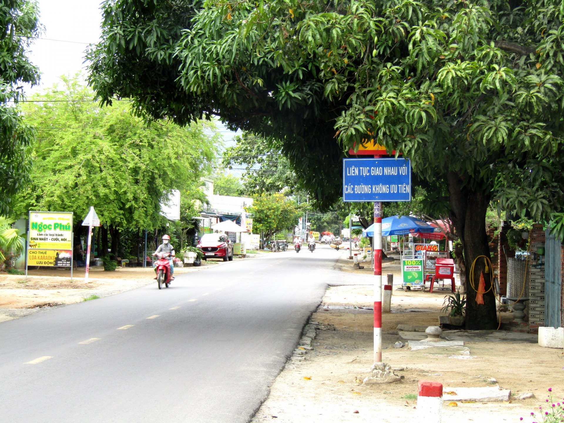 Biển báo giao thông bị cây xanh che khuất.