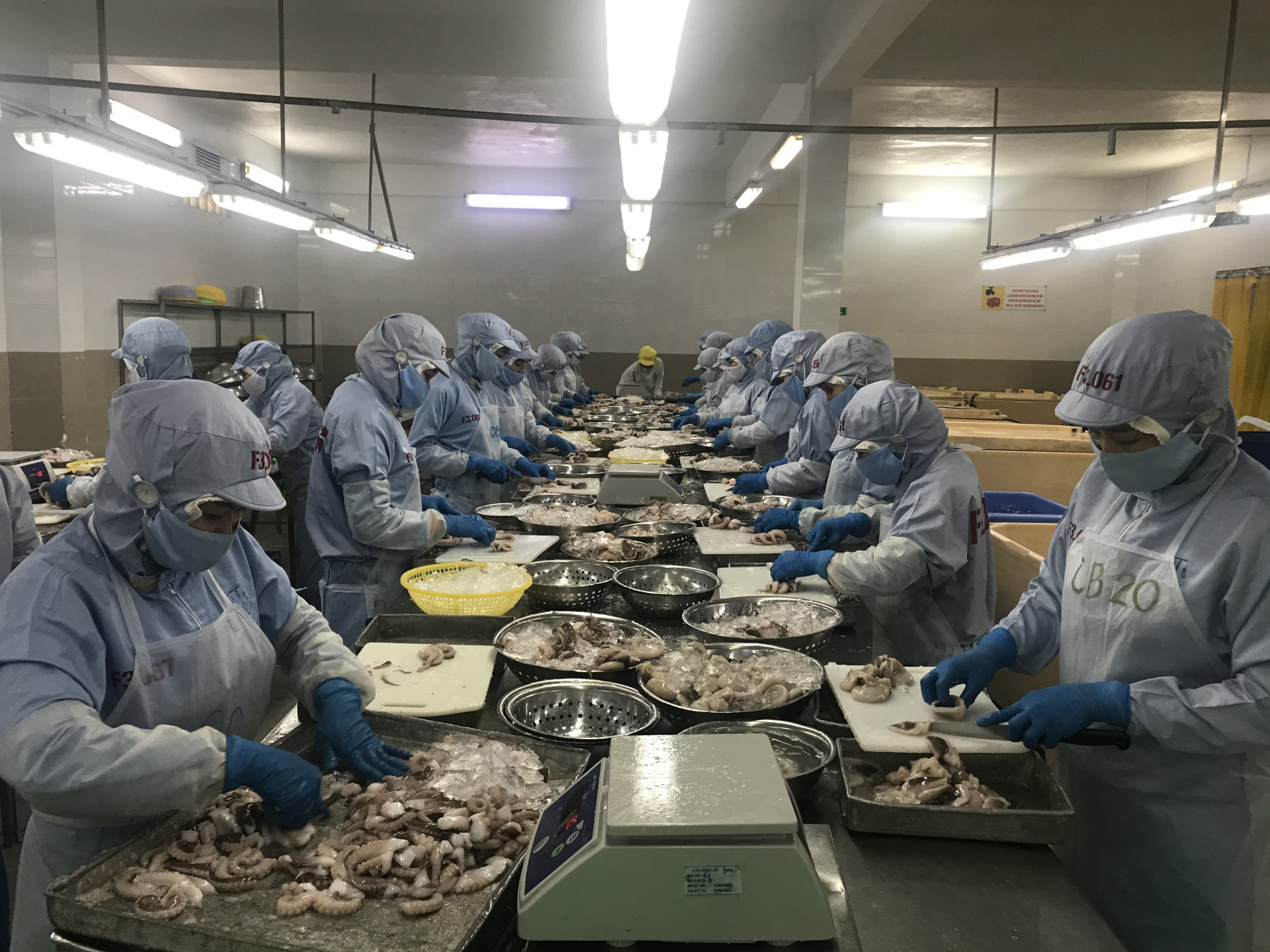 Processing seafood in an enterprise in Suoi Dau Industrial Zone