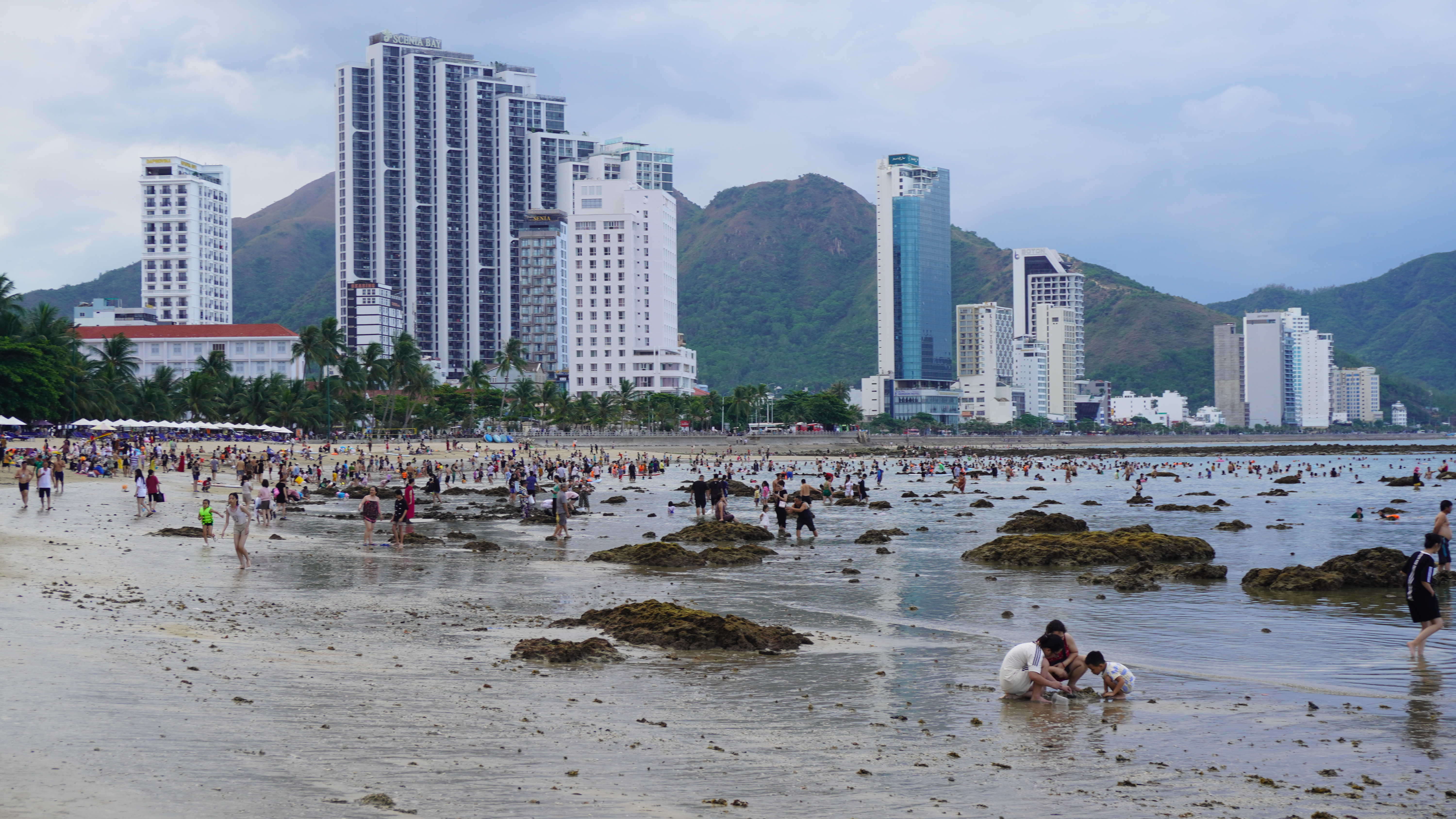 Khuyến cáo người dân và du khách không tác động đến san hô Hòn Chồng - Đặng Tất khi thủy triều rút