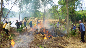 Hơn 350 người diễn tập phòng, chống cháy rừng ở huyện Diên Khánh