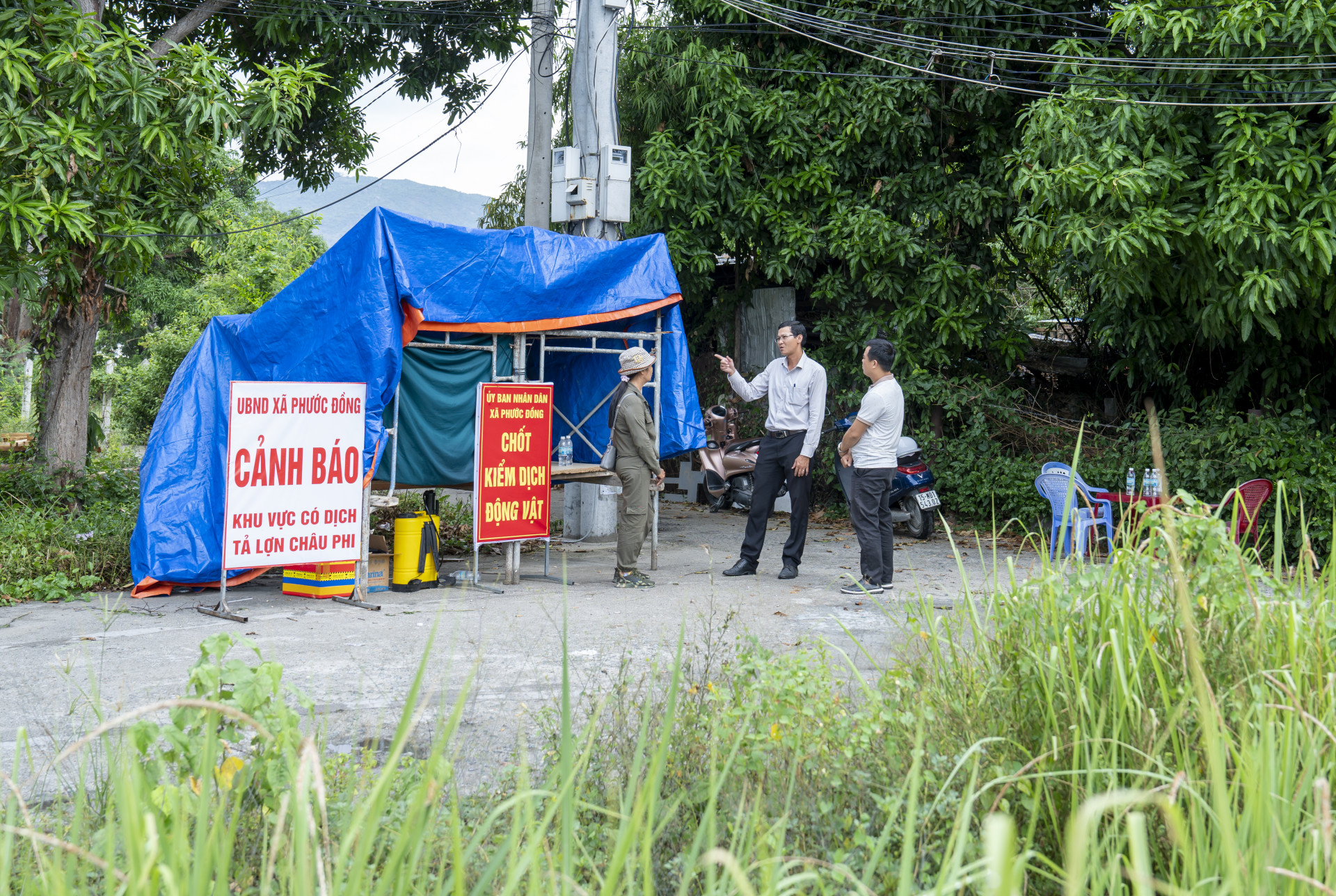 Chốt kiểm soát 