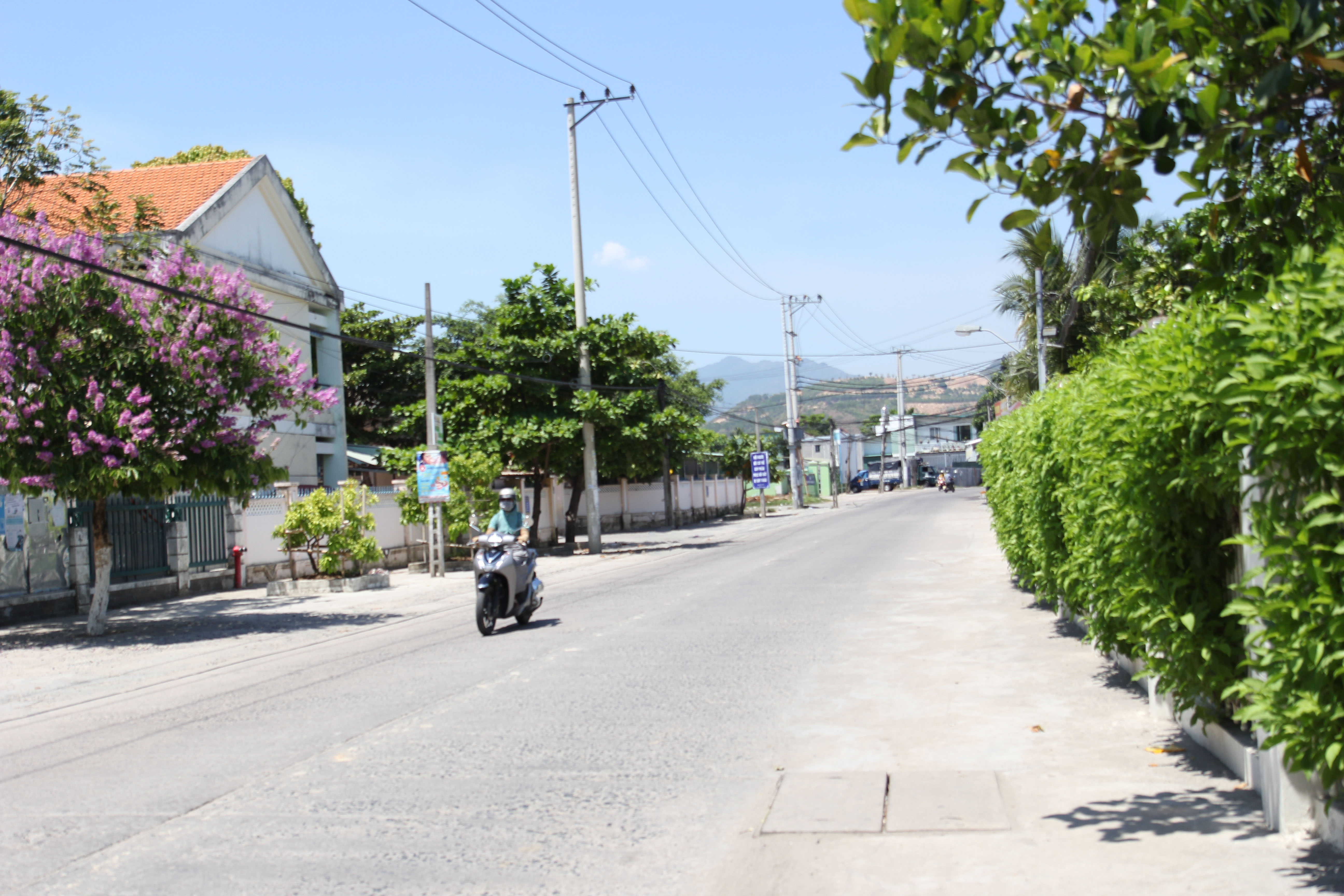 Đẩy mạnh tuyên truyền đề án Chuyển đổi xanh, tăng trưởng xanh TP. Nha Trang giai đoạn 2024 - 2030