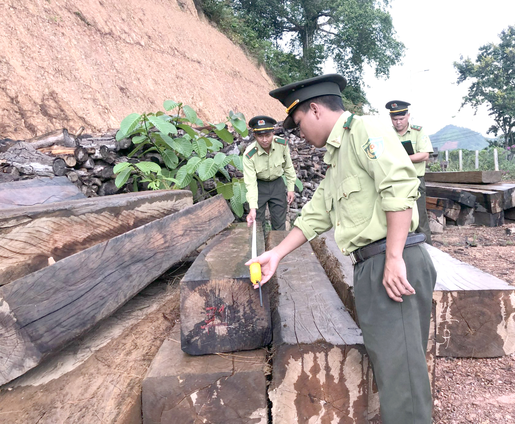 Lâm sản trong một vụ vi phạm được tạm giữ tại Hạt Kiểm lâm Khánh Sơn.