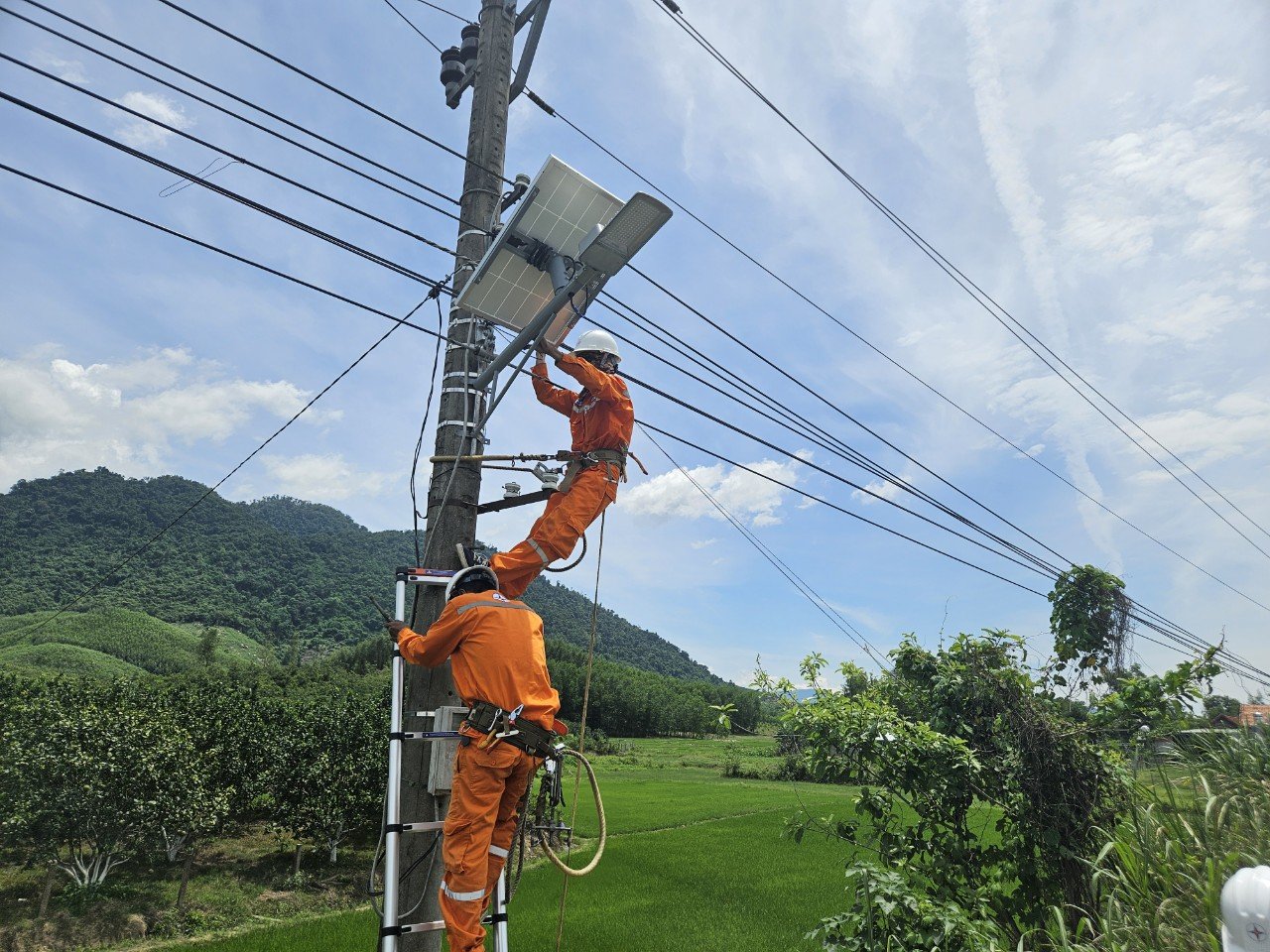 Tuổi trẻ PC Khánh Hòa chung tay thắp sáng quê hương cách mạng bằng năng lượng xanh