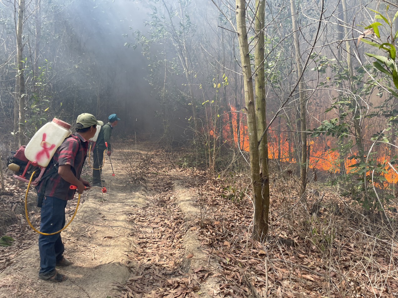 Lực lượng chức năng tiếp cận để chữa cháy trong vụ cháy rừng ở Ninh Sơn (thị xã Ninh Hòa)