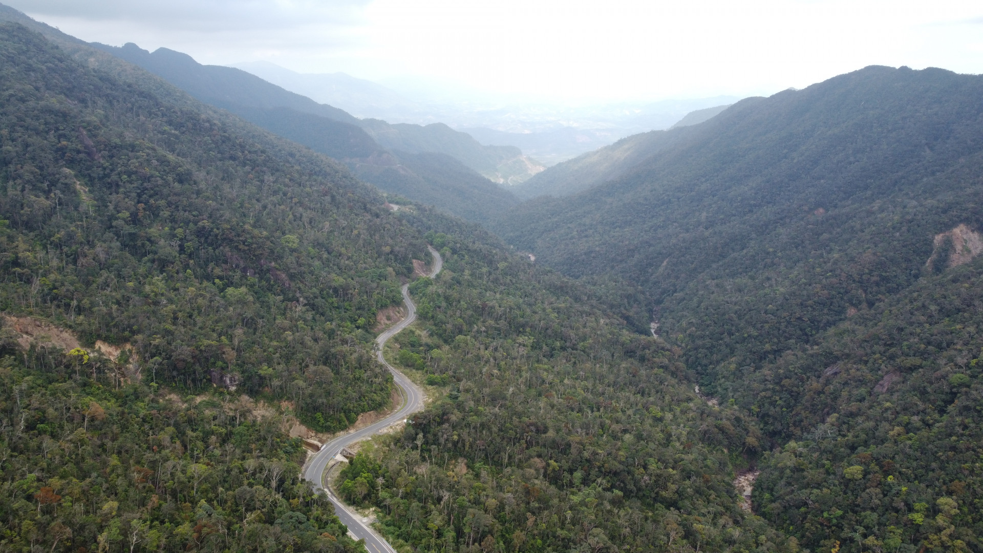 6 tháng, Khánh Hòa phát hiện 10 vụ khai thác rừng trái pháp luật