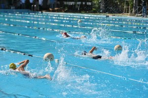 176 vận động viên tranh tài Giải bơi các nhóm tuổi tỉnh Khánh Hòa