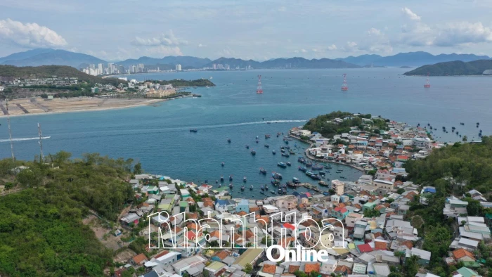 Khẩn trương thực hiện các nhiệm vụ bảo vệ, bảo tồn và phục hồi nguồn lợi thủy sản, hệ sinh thái biển trên địa bàn tỉnh Khánh Hòa 