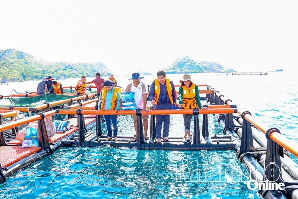 Ngư dân nuôi biển hào hứng vươn khơi