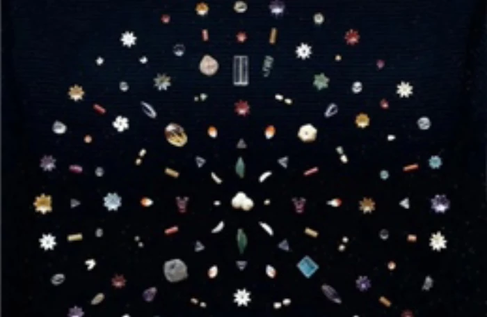 Ấn Độ hồi hương bộ ngọc quý liên quan đến xá lợi Phật