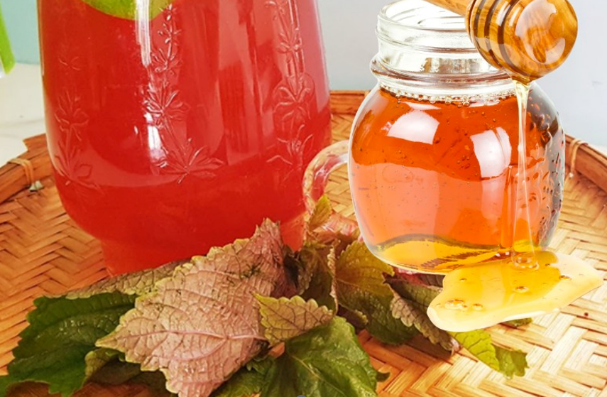 Nước lá tía tô mật ong có thể giúp kháng viêm, làm đẹp da và tăng cường miễn dịch.