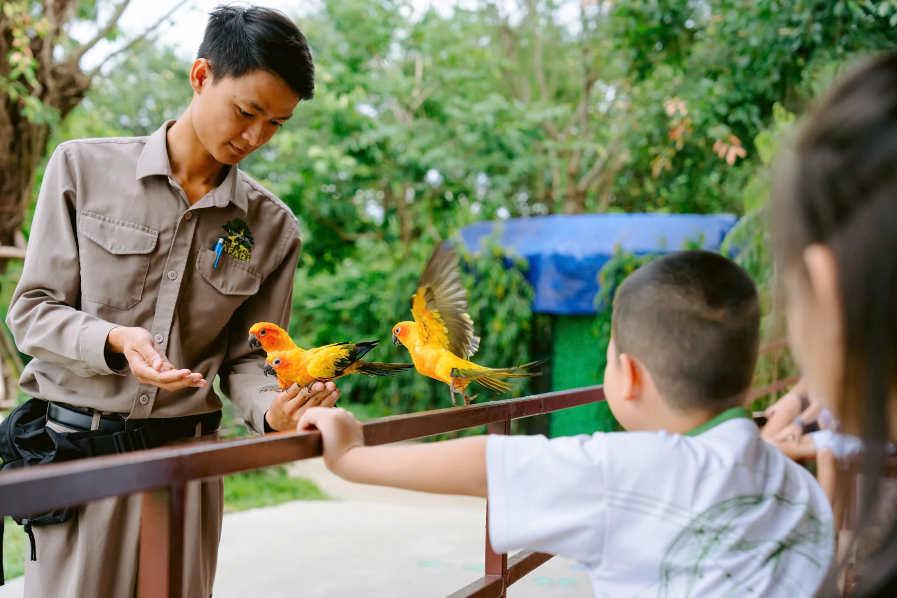 Show diễn chim - “ tân binh” mới nổi của mùa hè 2025. Ảnh: VinWonders.