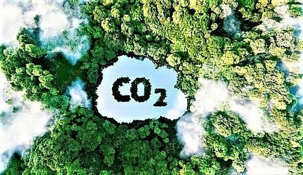 Triển khai thị trường carbon trong nước từ 1/8/2025 theo quy định mới.