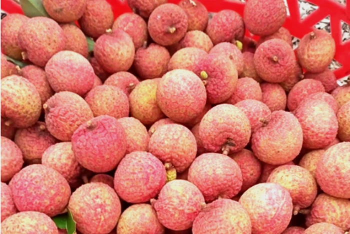  Bí quyết bảo quản quả vải tươi cả tháng