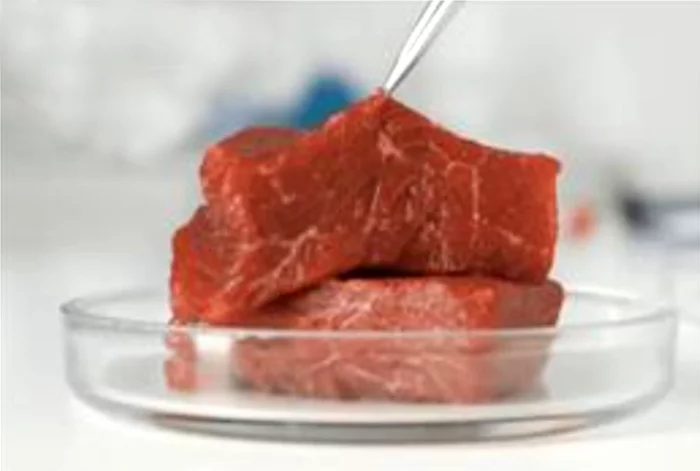 Phương pháp dùng tảo hỗ trợ tăng tốc độ 'sản xuất' thịt nhân tạo