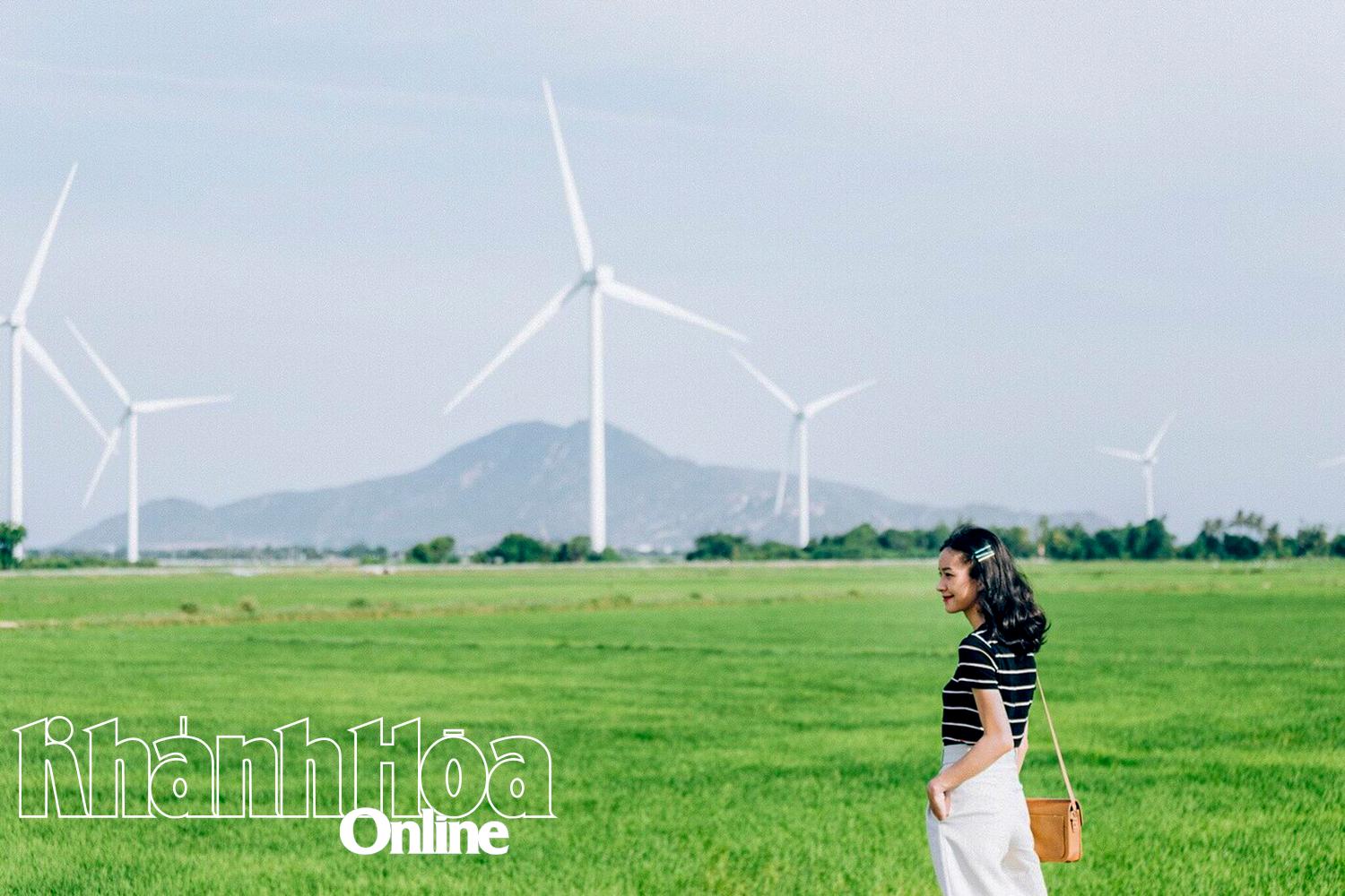 Dam Nai wind power field 