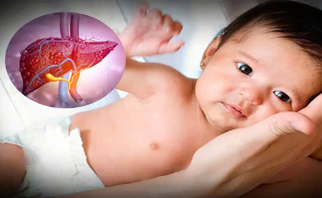 Ảnh minh họa/ Nguồn internet