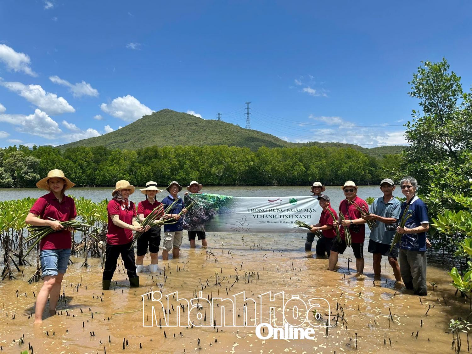 Khu nghỉ dưỡng Ana Mandara Cam Ranh trồng 600 cây đước tại làng Hà Liên (đầm Nha Phu)