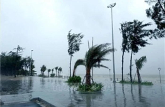 Lào khẩn cấp triển khai ứng phó bão nhiệt đới Wipha