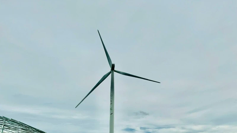 Thủ tướng Chính phủ yêu cầu khẩn trương tháo gỡ vướng mắc các dự án điện năng lượng tái tạo. (Ảnh: NVH)