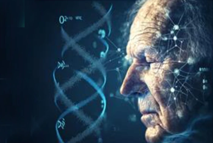 Trí tuệ nhân tạo: Bước đột phá trong dự đoán tuổi sinh học từ ADN