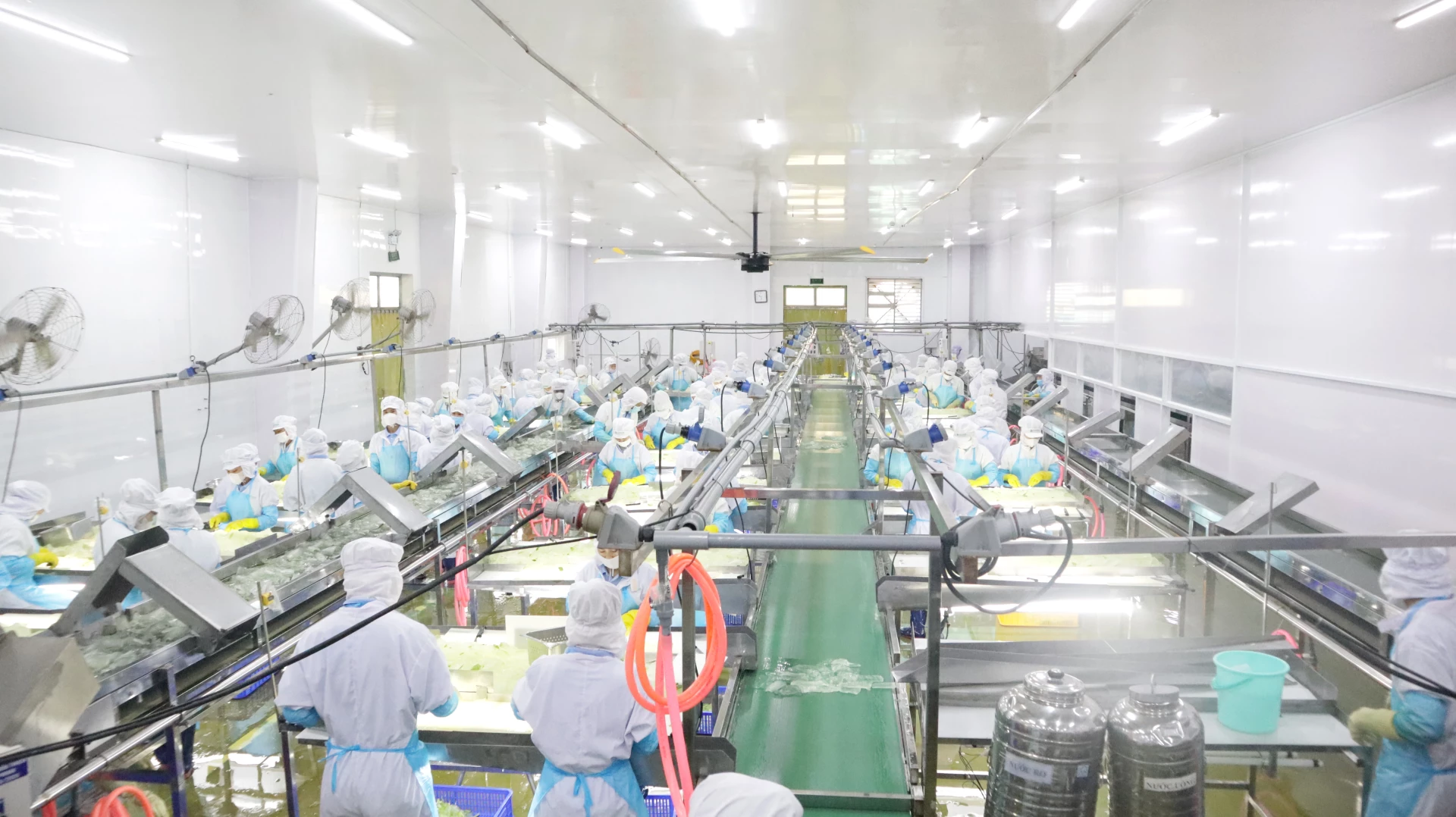 GC Food đã đầu tư xây dựng nhà máy, dây chuyền chế biến hiện đại theo chuẩn quốc tế FSSC 22000.