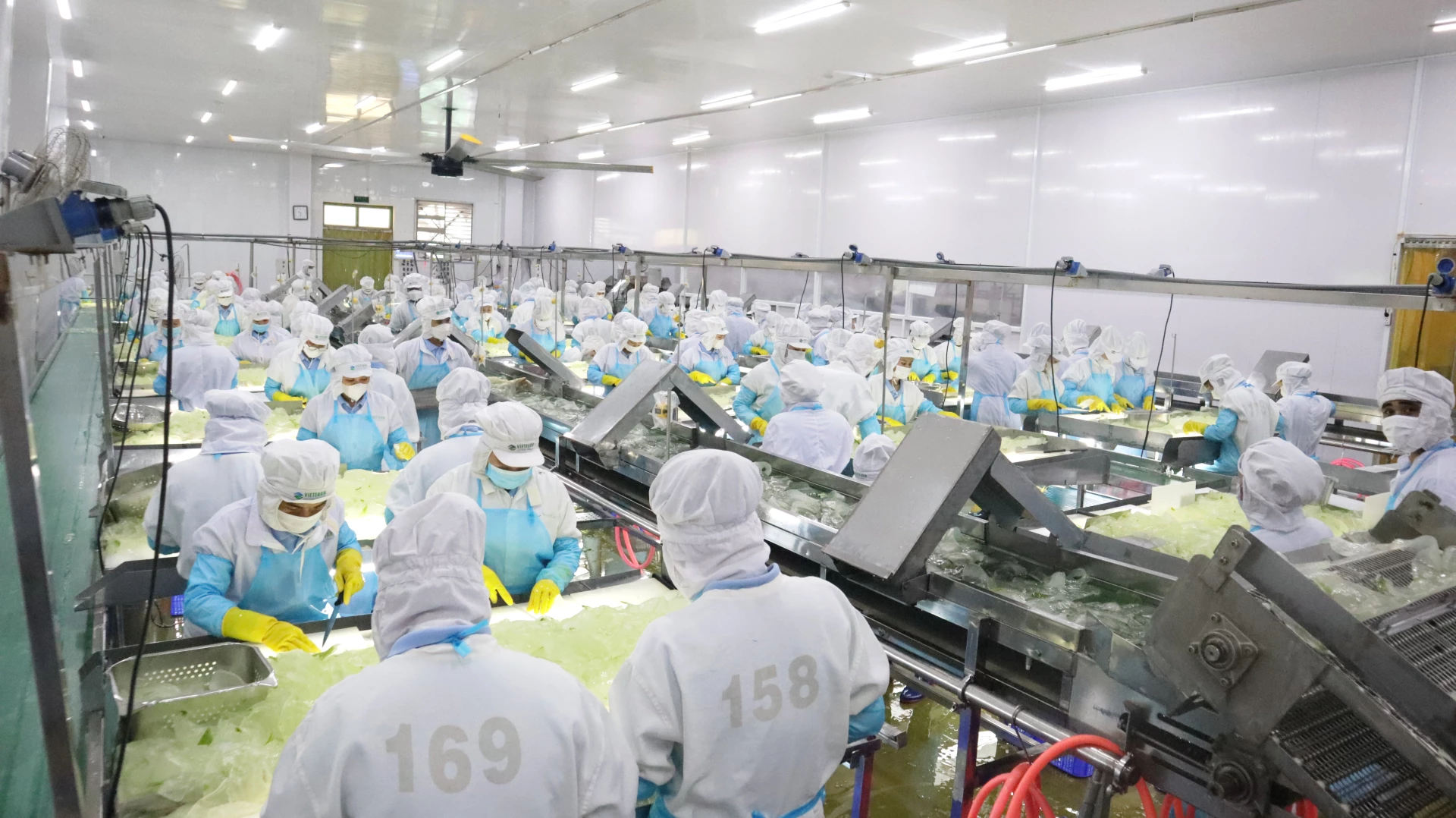 Tại VietFarm, công nghệ đóng vai trò cốt lõi trong việc đảm bảo năng suất và chất lượng đồng đều.