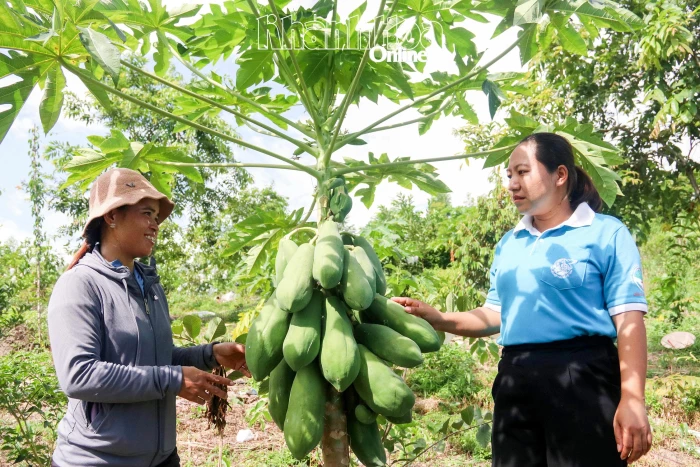 Vươn lên thoát nghèo từ trồng cây ăn quả kết hợp chăn nuôi
