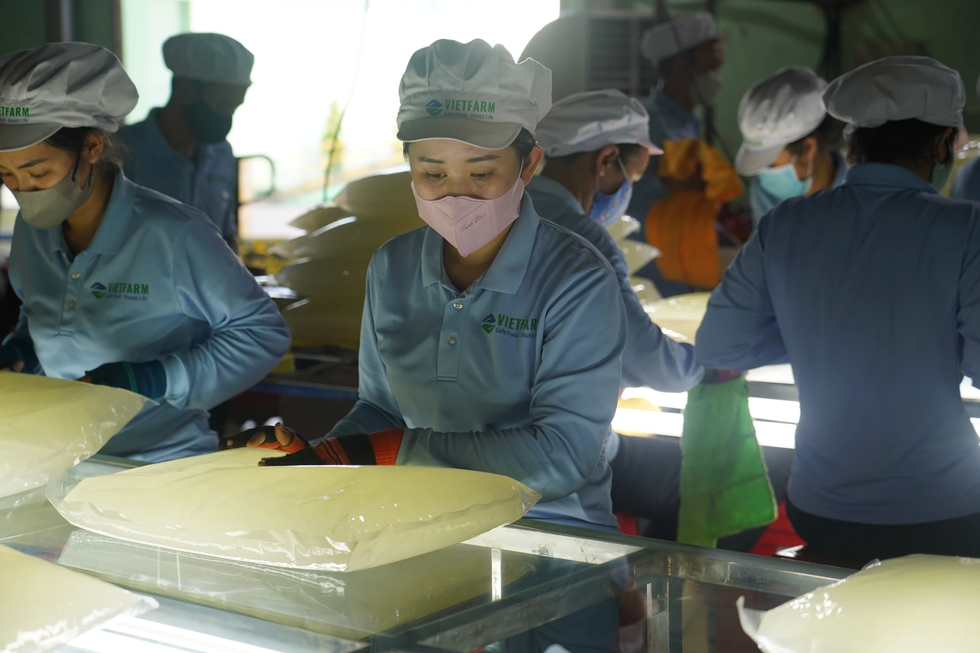 Công nhân VietFarm trong giờ sản xuất.