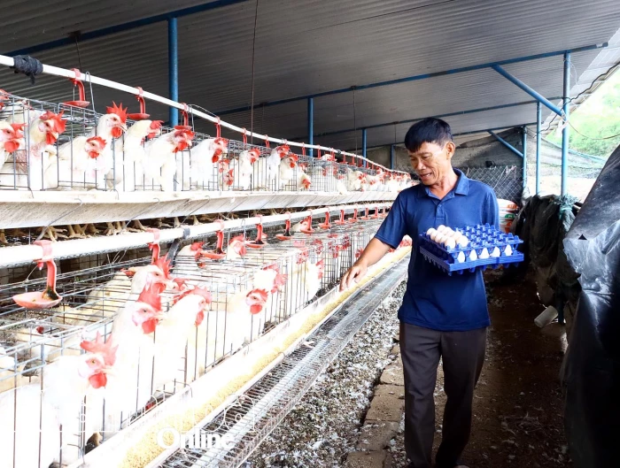 Làm giàu trên vùng đất khó