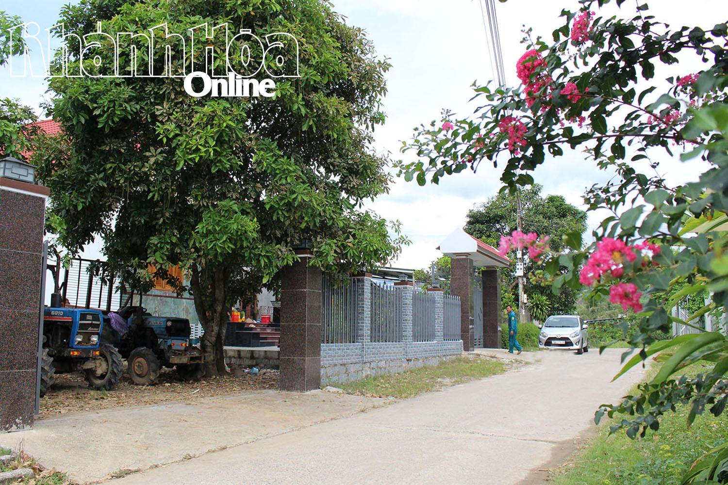 Nhiều ngôi nhà mới, khang trang được mọc lên nhờ thu nhập từ trồng bưởi da xanh, heo đen và nuôi bò sinh sản.