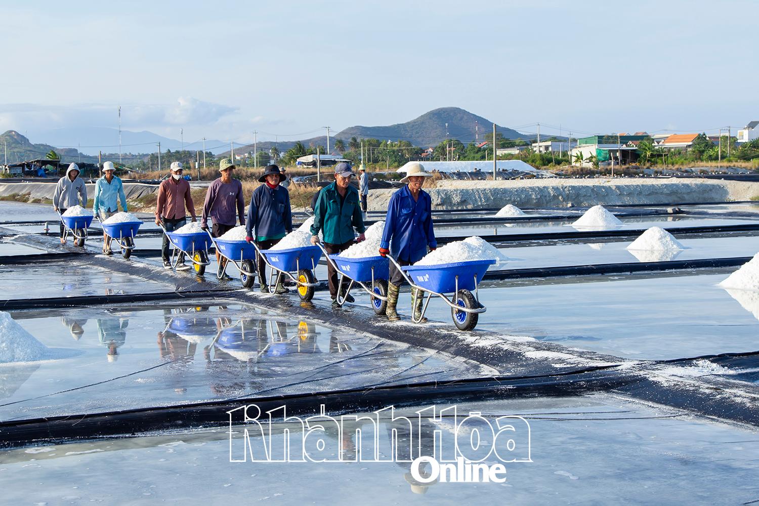 Ảnh: Công Định