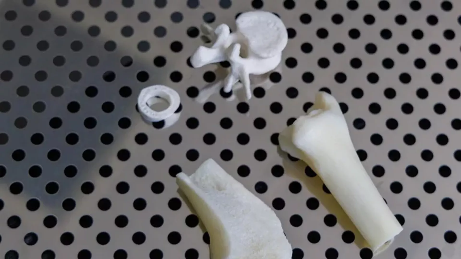 So sánh xương động vật (bên dưới) với các nguyên mẫu làm từ biopolymer có hình dạng lỗ tương tự và cấu trúc giống tự nhiên nhất. Dịch vụ báo chí của Đại học Liên bang Siberia (SibFU)