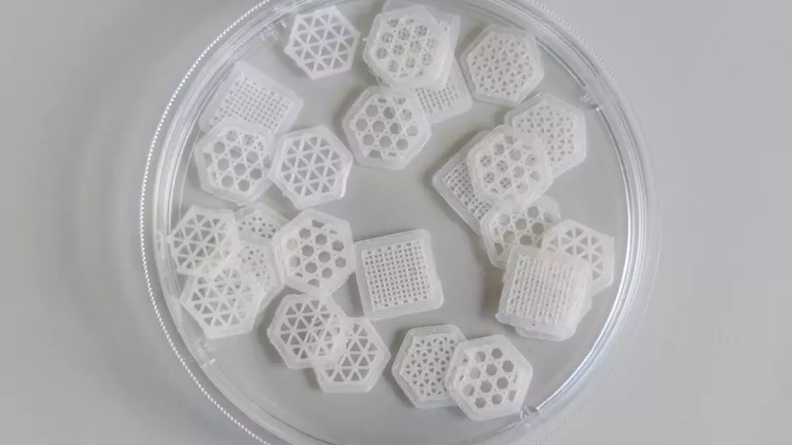 Các mẫu giàn giáo biopolymer có hình dạng lỗ rỗng khác nhau. Ảnh: Dịch vụ báo chí của Đại học Liên bang Siberia (SibFU)