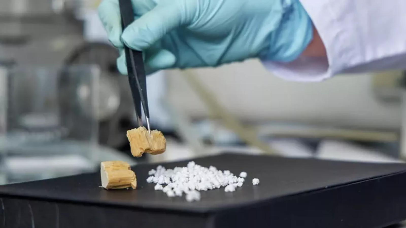 Sinh khối vi khuẩn và polyme tinh khiết (hoặc Từ sinh khối vi khuẩn đến polyme sinh học: khả năng công nghệ sinh học). Ảnh: Dịch vụ báo chí của Đại học Liên bang Siberia (SibFU)