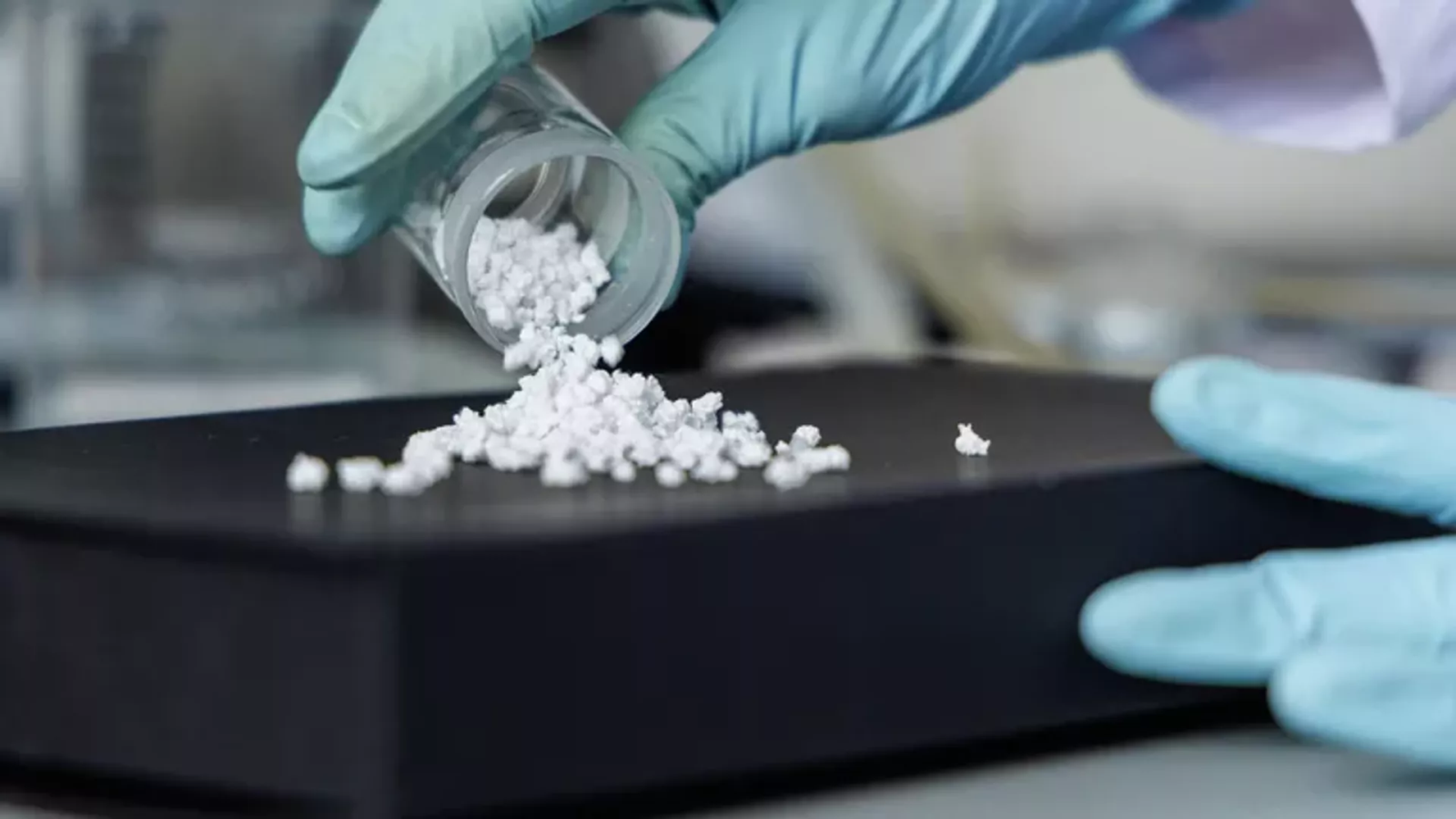 Sinh khối vi khuẩn và polyme tinh khiết (hoặc Từ sinh khối vi khuẩn đến polyme sinh học: khả năng công nghệ sinh học). Ảnh : Dịch vụ báo chí của Đại học Liên bang Siberia (SibFU)