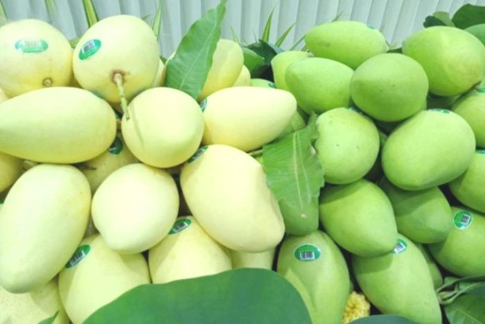 Đột phá phương pháp bảo quản xoài tươi 1 tháng