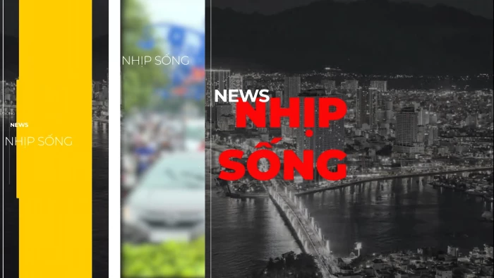 Nhịp sống 24/7 ngày 22-7-2026