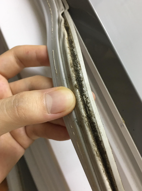 Gioăng cao su tủ lạnh có nhiều khe rãnh nhỏ, dễ giữ nước và khó khô hoàn toàn, tạo điều kiện lý tưởng để nấm mốc phát triển.