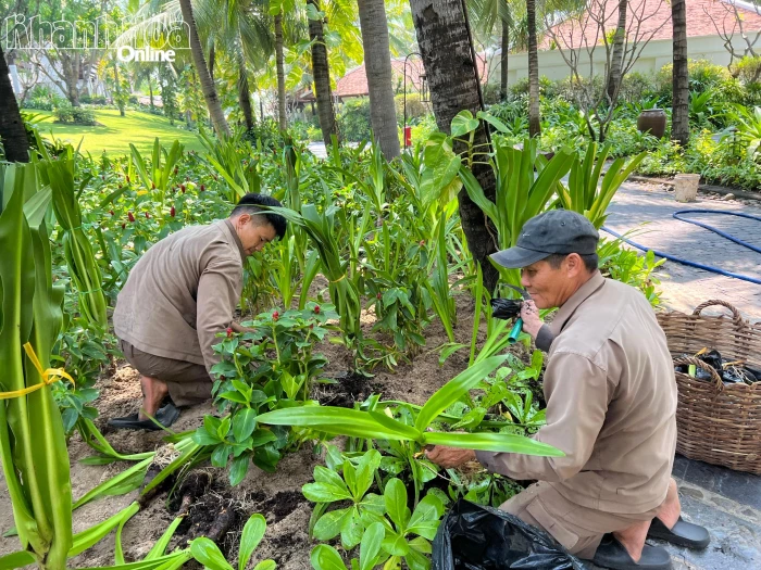 The Anam Foundation cam kết hằng năm sẽ đầu tư 1 tỷ đồng để trồng cây xanh