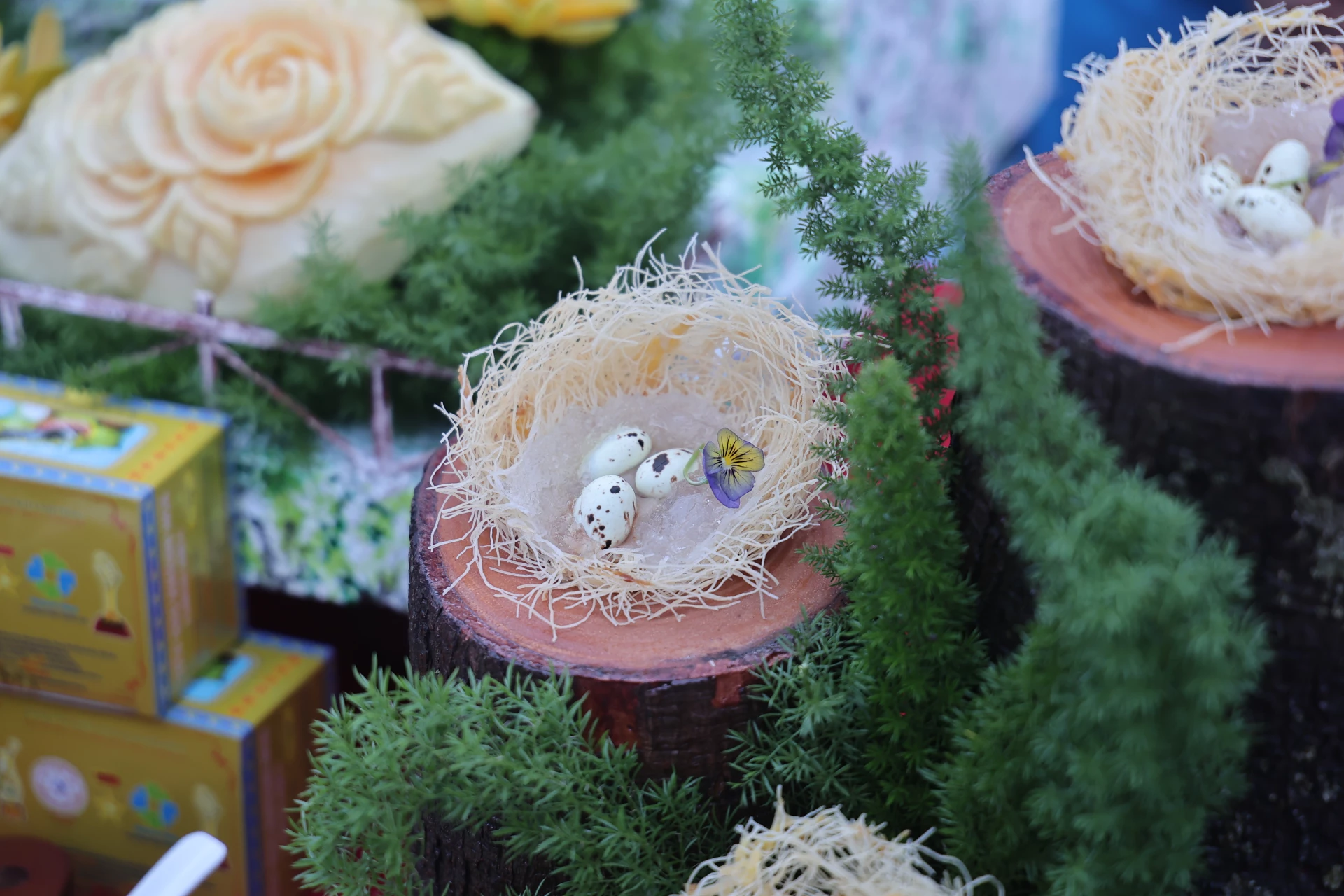 Yến sào thiên nhiên Khánh Hòa.